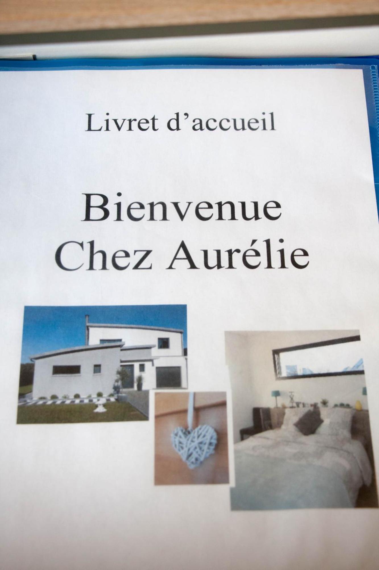 Chez Aurelie Apartment Saint-Alban  Exterior photo